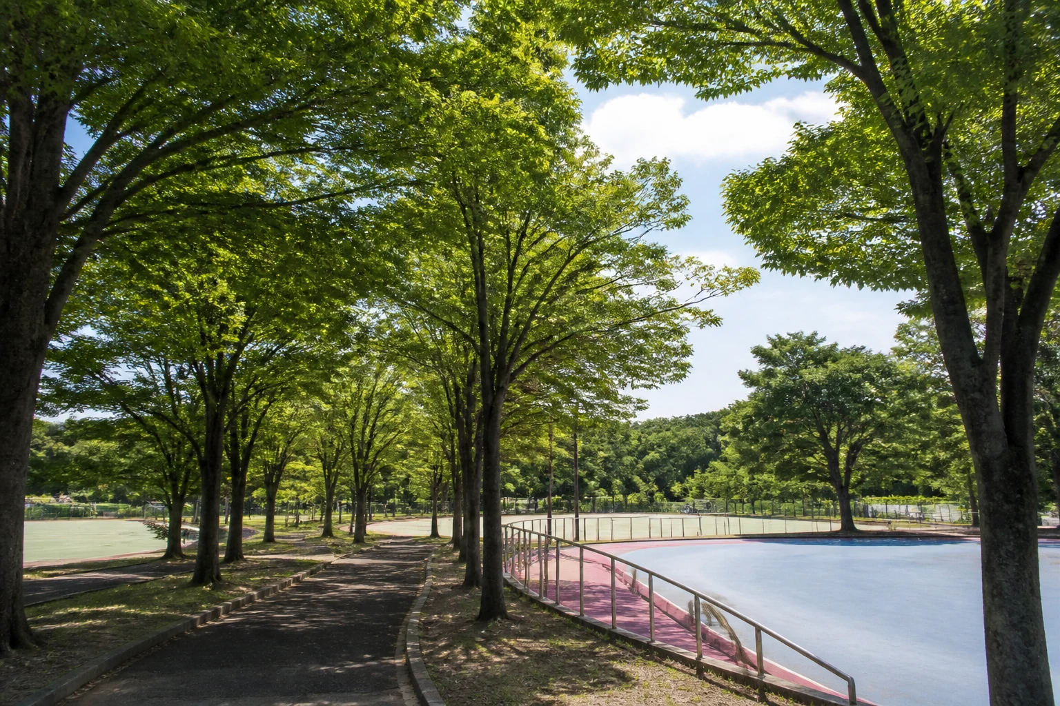 蘇南公園の見どころと過ごし方を表すイメージ