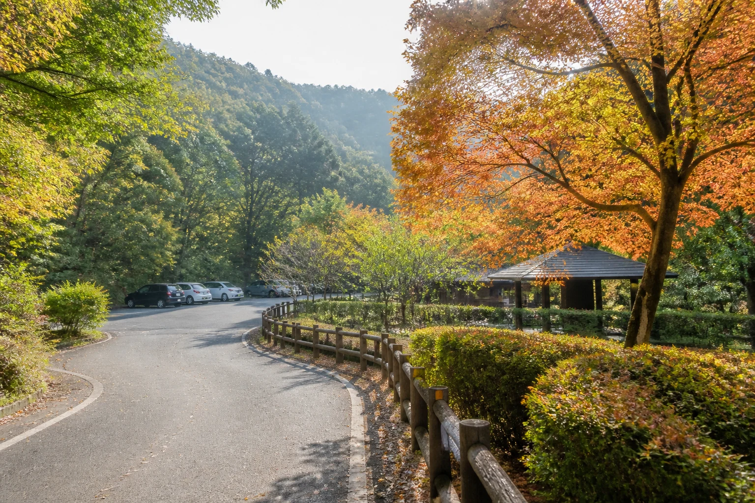 蘇南公園へ出かける前のアクセスと準備のイメージ